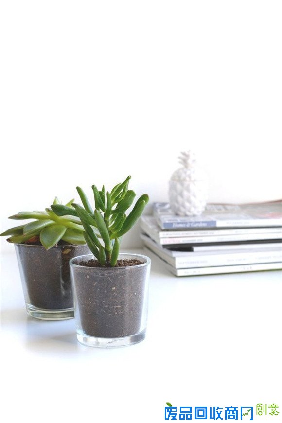 百元宜家小物让你的家一秒变花园