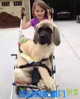 搞笑图片：调皮捣蛋的女人系搞笑趣图