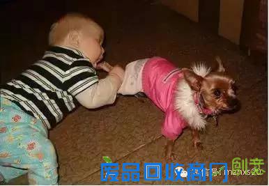 搞笑图片：调皮捣蛋的女人系搞笑趣图