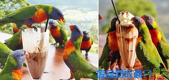 广西现37斤巨蟒吃饱后&ldquo;休息&rdquo;被抓 盘点动物界吃货令人捧腹囧事