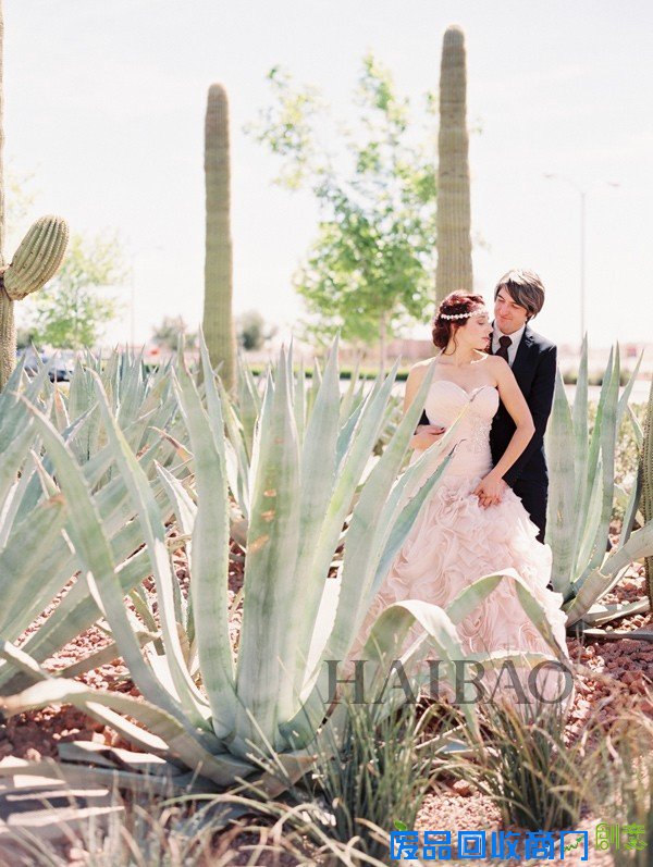 沙漠中的波西米亚风婚礼