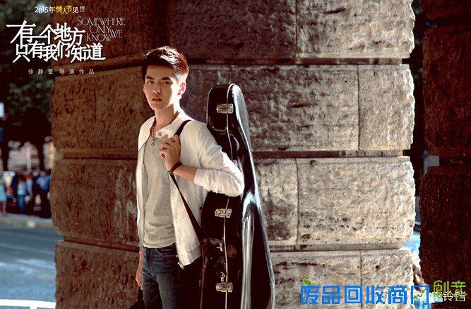 2015娱乐圈大事记 小鲜肉们抢占市场