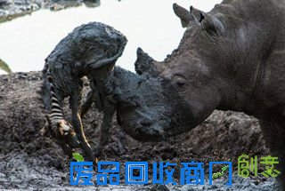 广州节后服装市场招工难