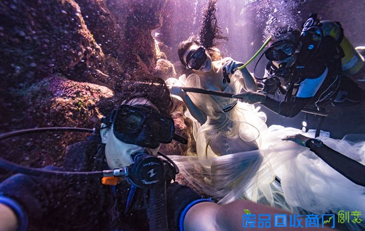 唯美！加摄影师水下拍摄美女与鲨鱼和谐共舞(图)（11）