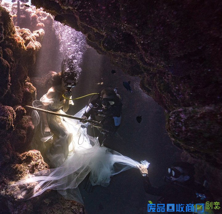 唯美！加摄影师水下拍摄美女与鲨鱼和谐共舞(图)（11）