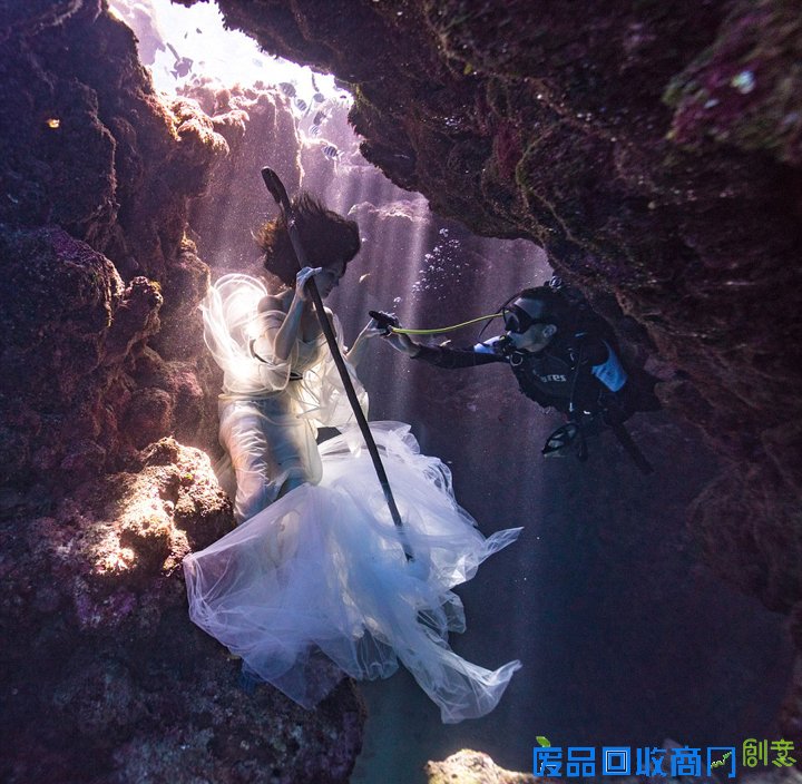 唯美！加摄影师水下拍摄美女与鲨鱼和谐共舞(图)（11）