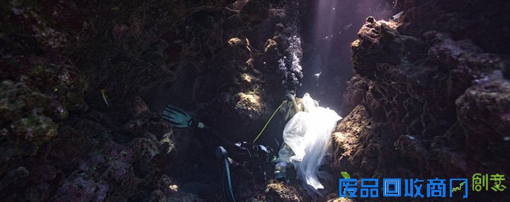 唯美！加摄影师水下拍摄美女与鲨鱼和谐共舞(图)（11）