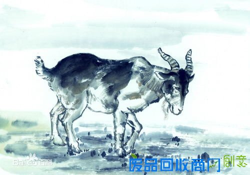 生肖“羊”的来历及趣味