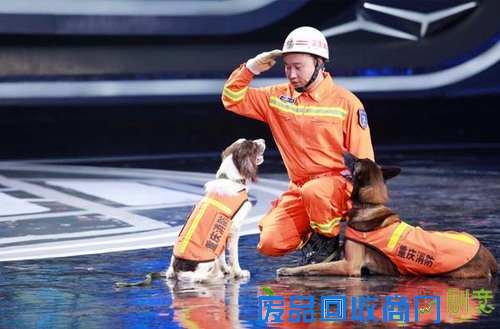 《挑战不可能》刘恺威把挖掘机当赛车开