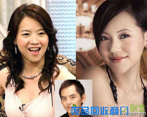 盘点娱乐圈最著名的十大横刀夺爱事件