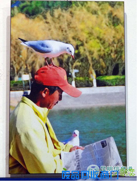 “春韵天成 美丽昆明”摄影艺术展昆明五华区开展