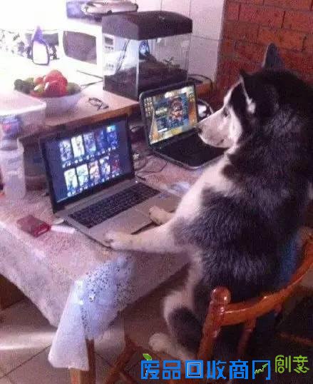 搞笑图片：妹子你好有心机啊！