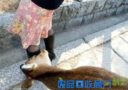 搞笑图片：妹子你好有心机啊！