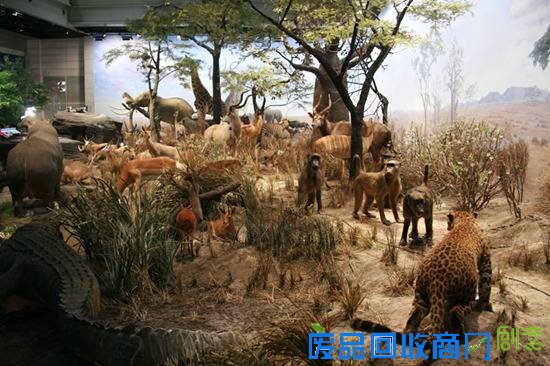 上海科技馆地图及各楼层介绍