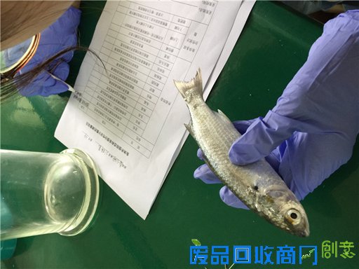 《海洋世界》：东山二中有座海洋生物标本馆