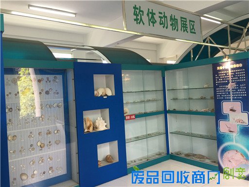 《海洋世界》：东山二中有座海洋生物标本馆