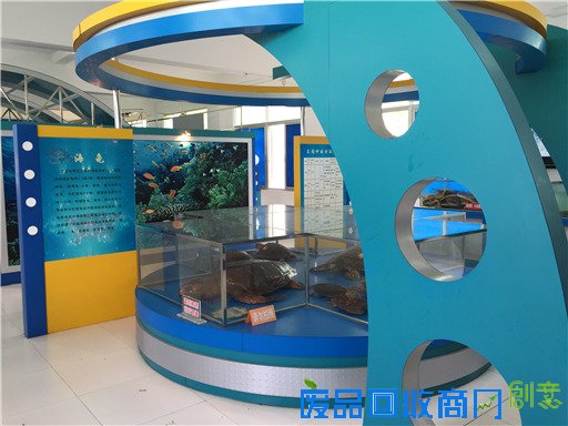 《海洋世界》：东山二中有座海洋生物标本馆