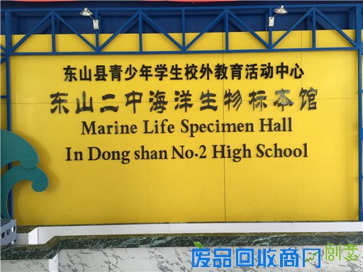 《海洋世界》：东山二中有座海洋生物标本馆