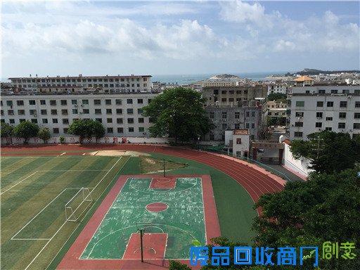 《海洋世界》：东山二中有座海洋生物标本馆