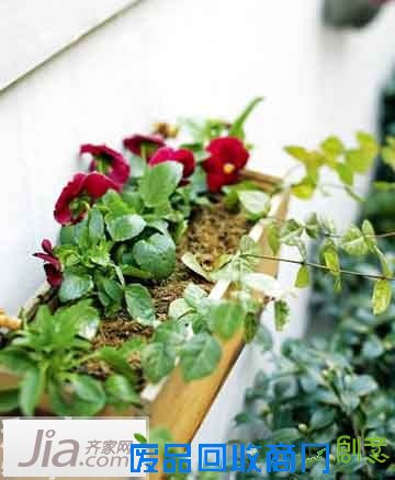 阳台变花园装修方案