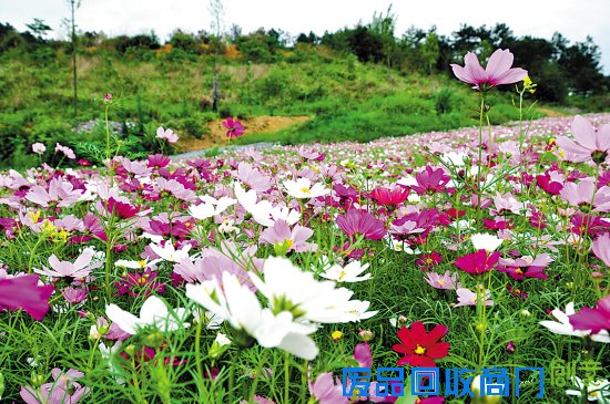 猴年春节，省内闹春！