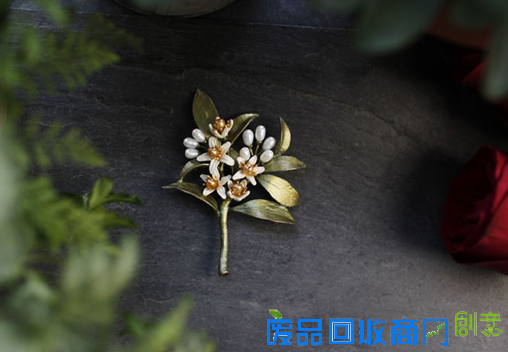 Michael设计师和他的“植物珠宝王国”