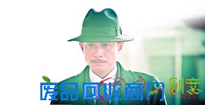 网友因为文章而不看《少帅》盘点哪些明星毁了一部好剧