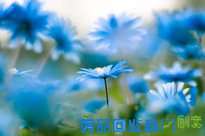 成长心语：青春，是与岁月的一场初恋