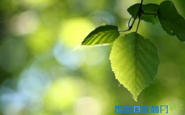 成长心语：青春，是与岁月的一场初恋