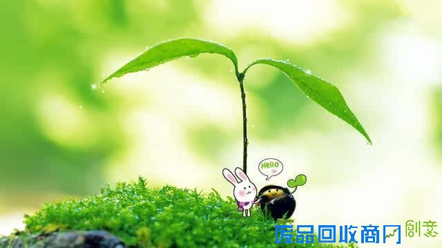 成长心语：青春，是与岁月的一场初恋