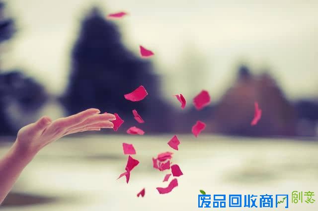 成长心语：青春，是与岁月的一场初恋