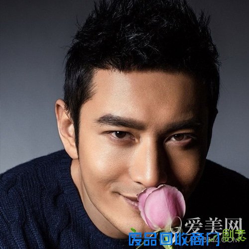 明星好感度排行榜：范冰冰居首高圆圆第二