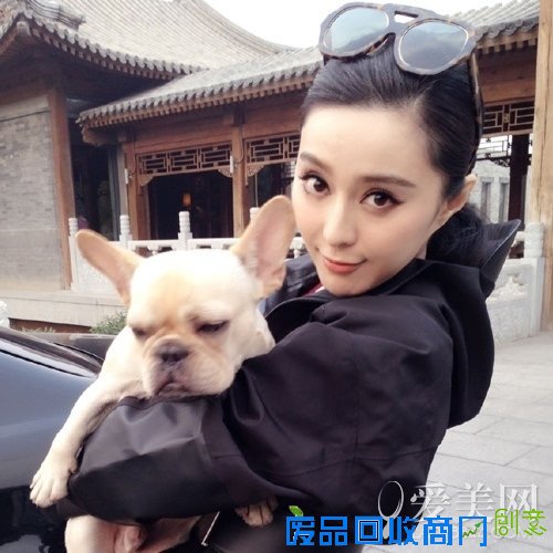 明星好感度排行榜：范冰冰居首高圆圆第二