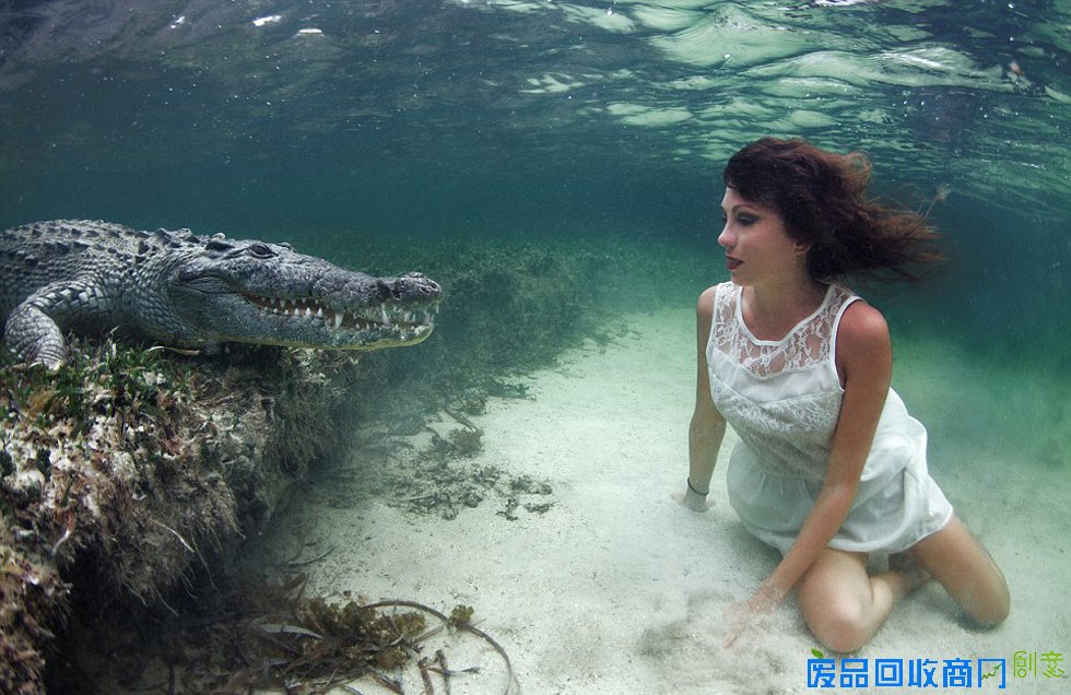 意美女模特与鳄鱼水下同游经历“死亡对视”