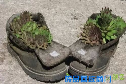 新外滩,“蔬”香生活;都市农夫有点甜