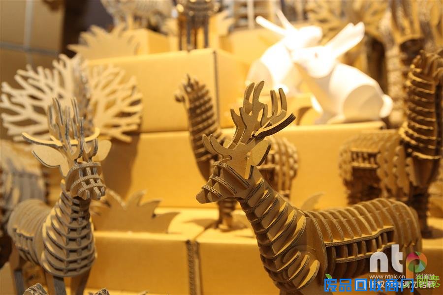 摄影师带你走进“纸箱故事馆”的奇妙世界