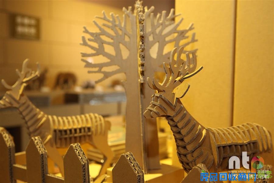 摄影师带你走进“纸箱故事馆”的奇妙世界