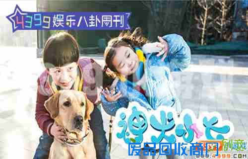 4399娱乐八卦周刊，神犬小七