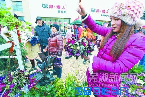 “庙会经济”聚人气蕴商机