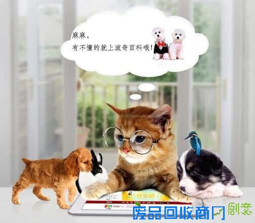 小松鼠能杀死一头鹿？我已经彻底凌乱了