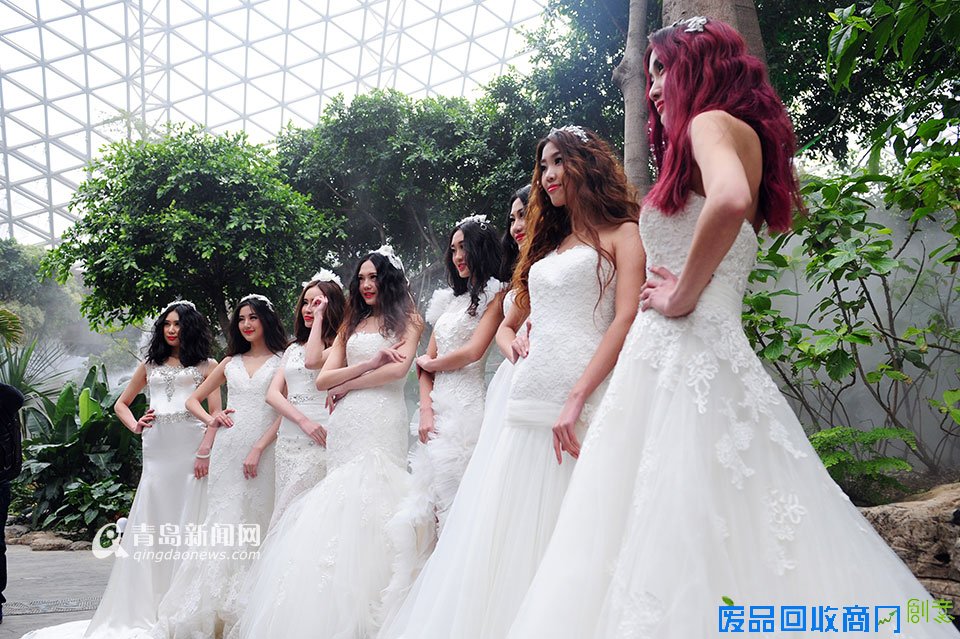 高清:世博园上演丛林婚纱秀 模特宛如林间仙子