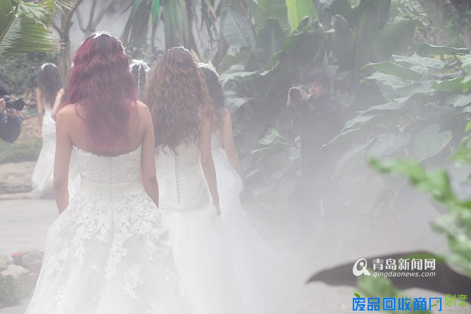 高清:世博园上演丛林婚纱秀 模特宛如林间仙子