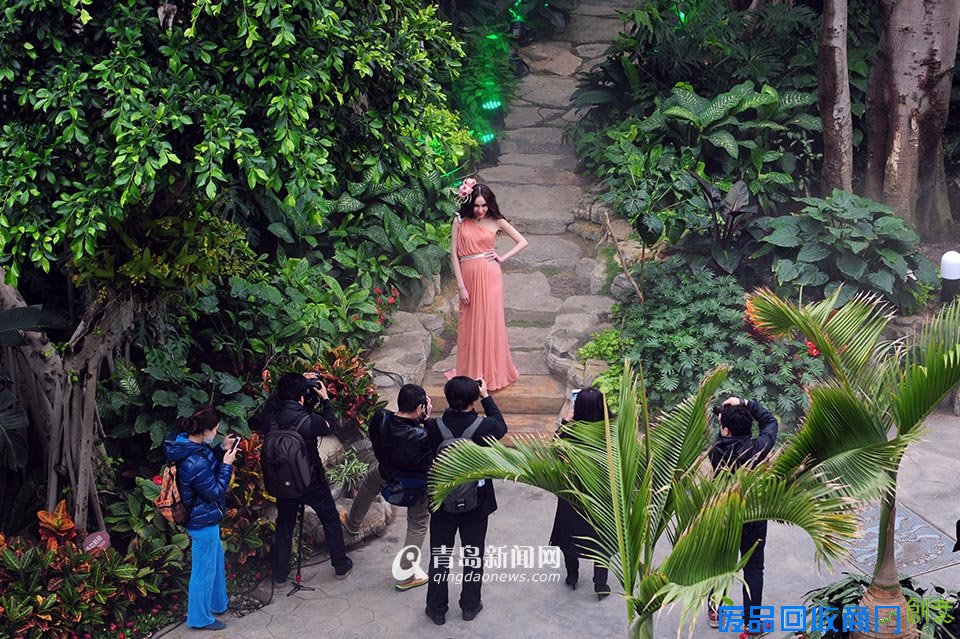 高清:世博园上演丛林婚纱秀 模特宛如林间仙子