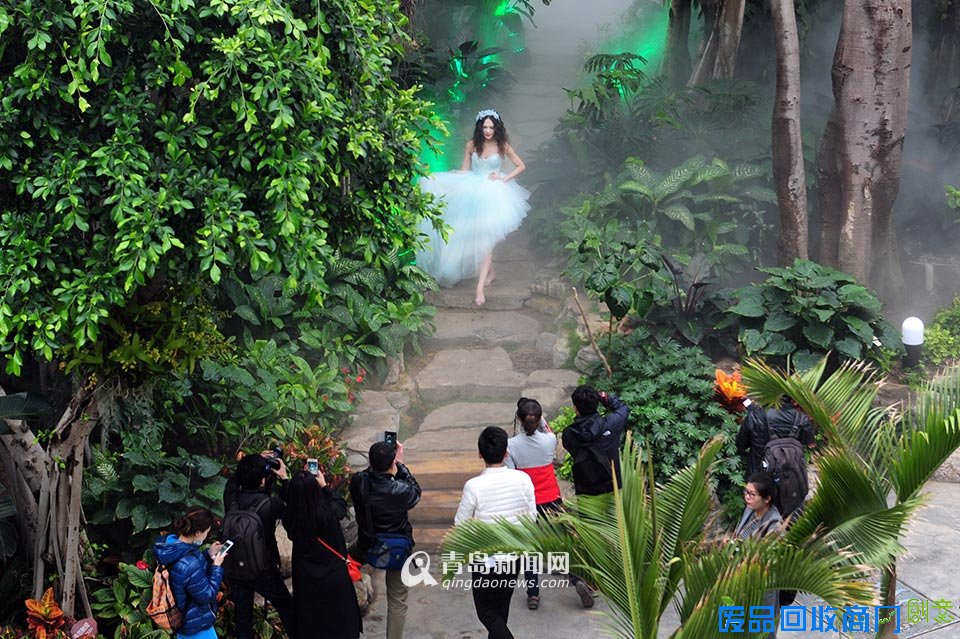 高清:世博园上演丛林婚纱秀 模特宛如林间仙子