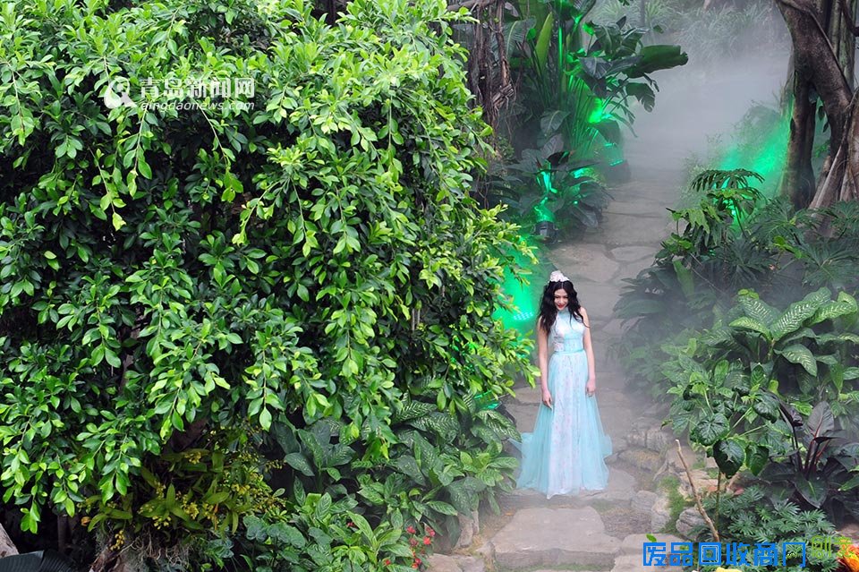 高清:世博园上演丛林婚纱秀 模特宛如林间仙子