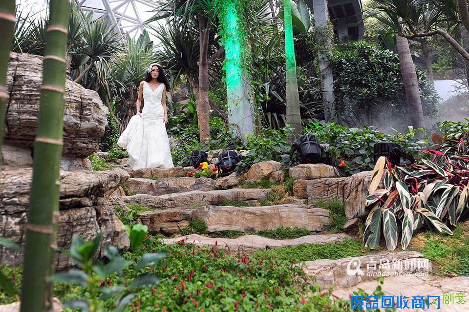 高清:世博园上演丛林婚纱秀 模特宛如林间仙子