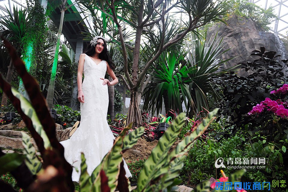 高清:世博园上演丛林婚纱秀 模特宛如林间仙子