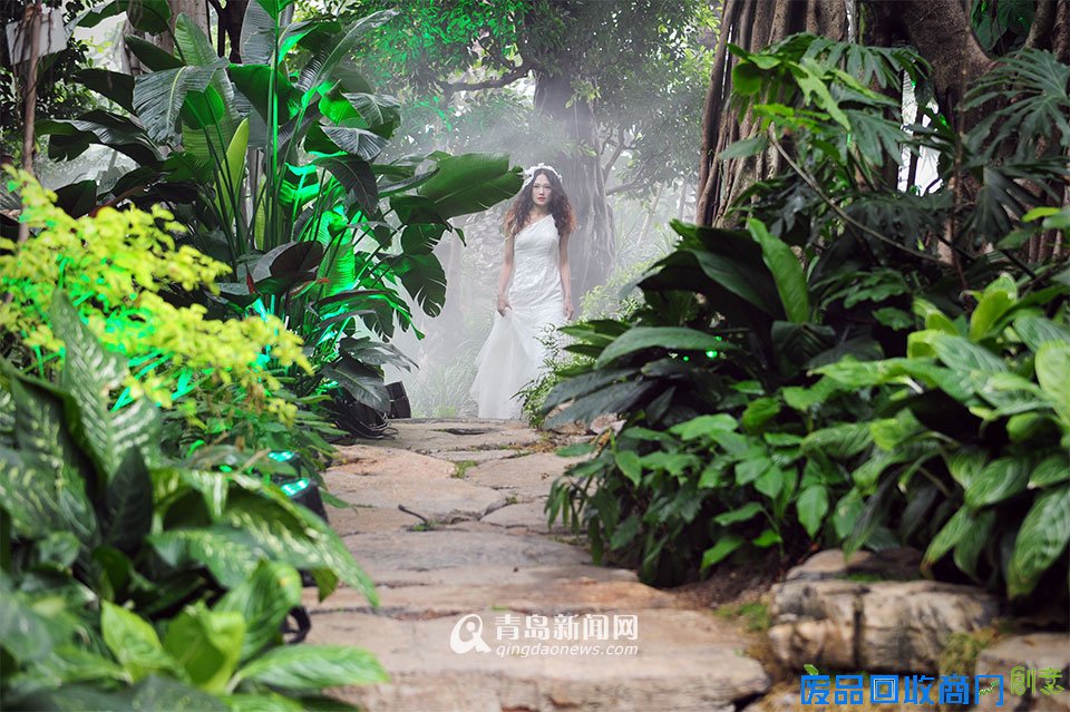 高清:世博园上演丛林婚纱秀 模特宛如林间仙子