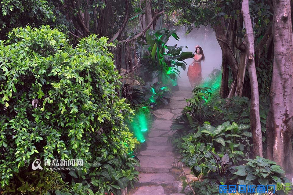 高清:世博园上演丛林婚纱秀 模特宛如林间仙子