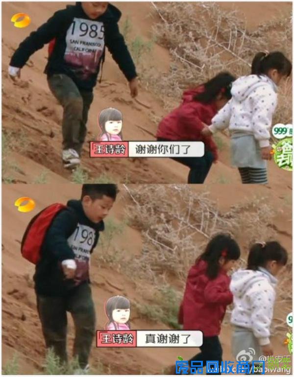 王诗龄经典语录集合 妙语连珠童趣无限